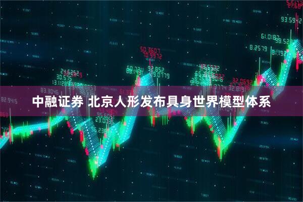 中融证券 北京人形发布具身世界模型体系