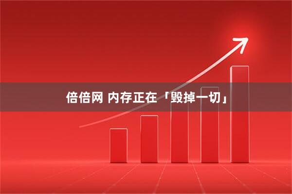 倍倍网 内存正在「毁掉一切」